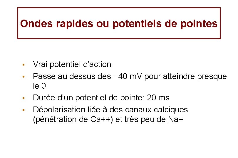 Ondes rapides ou potentiels de pointes Vrai potentiel d’action • Passe au dessus des