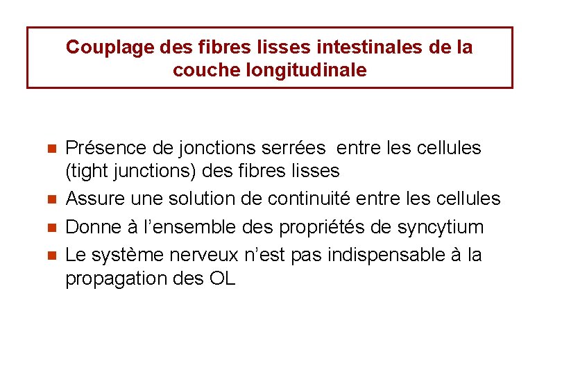 Couplage des fibres lisses intestinales de la couche longitudinale n n Présence de jonctions