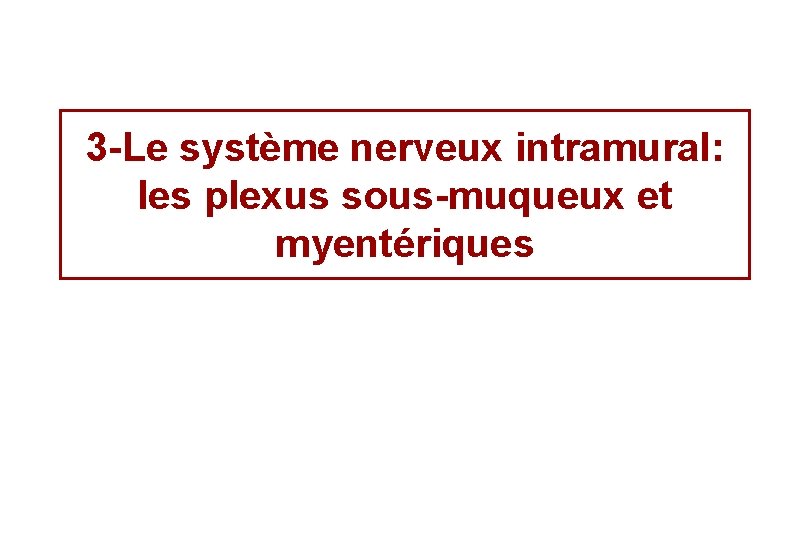 3 -Le système nerveux intramural: les plexus sous-muqueux et myentériques 