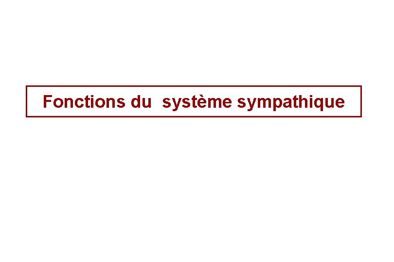 Fonctions du système sympathique 