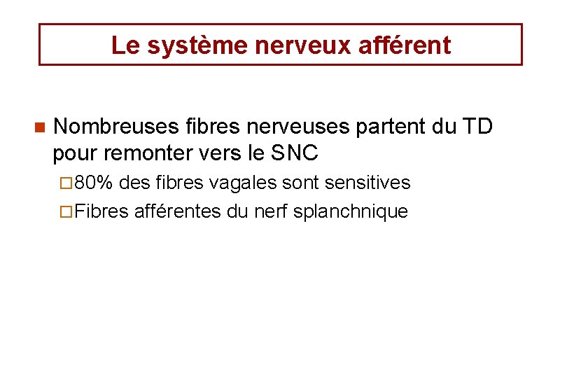 Le système nerveux afférent n Nombreuses fibres nerveuses partent du TD pour remonter vers