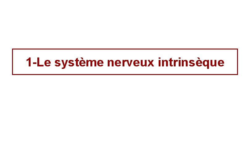 1 -Le système nerveux intrinsèque 