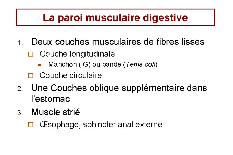 La paroi musculaire digestive 1. Deux couches musculaires de fibres lisses ¨ Couche longitudinale
