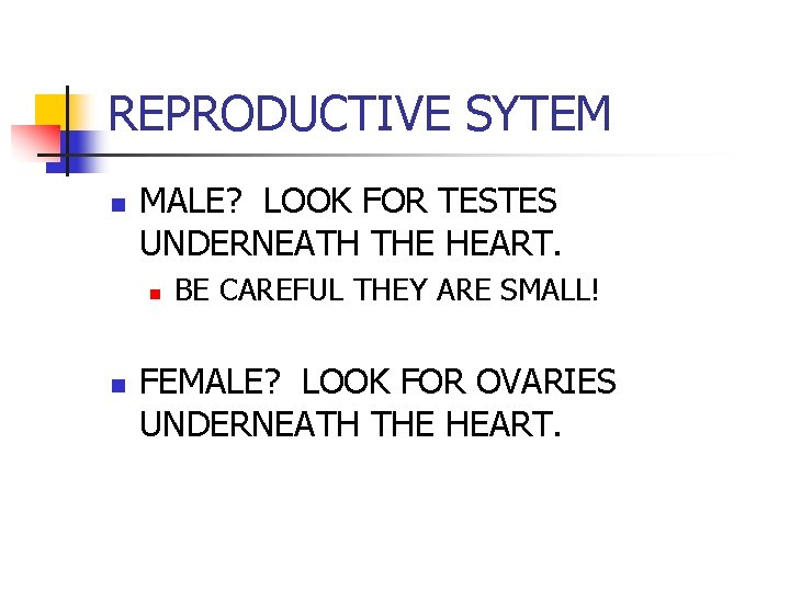 REPRODUCTIVE SYTEM n MALE? LOOK FOR TESTES UNDERNEATH THE HEART. n n BE CAREFUL