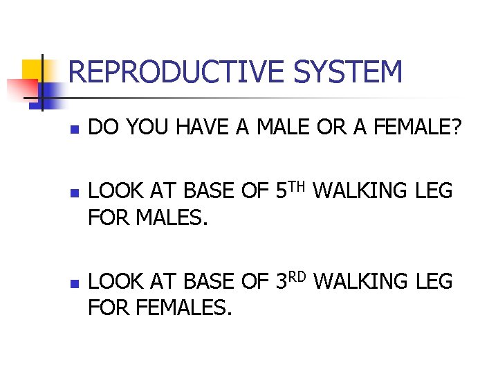 REPRODUCTIVE SYSTEM n n n DO YOU HAVE A MALE OR A FEMALE? LOOK