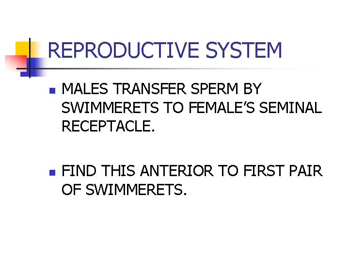 REPRODUCTIVE SYSTEM n n MALES TRANSFER SPERM BY SWIMMERETS TO FEMALE’S SEMINAL RECEPTACLE. FIND