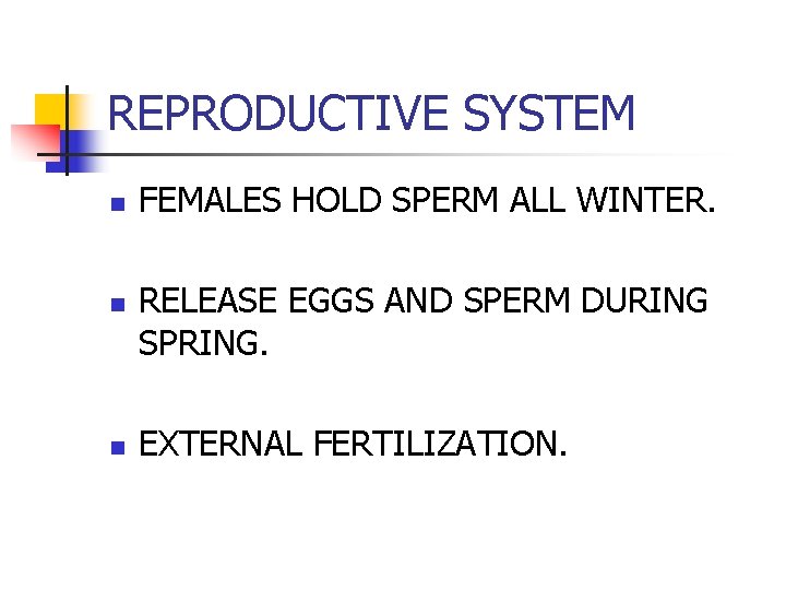 REPRODUCTIVE SYSTEM n n n FEMALES HOLD SPERM ALL WINTER. RELEASE EGGS AND SPERM