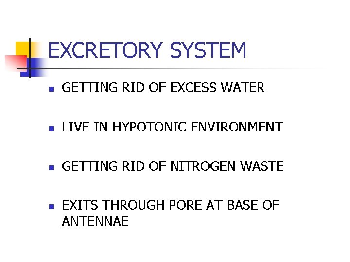 EXCRETORY SYSTEM n GETTING RID OF EXCESS WATER n LIVE IN HYPOTONIC ENVIRONMENT n