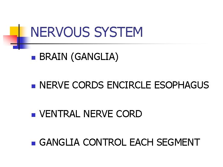 NERVOUS SYSTEM n BRAIN (GANGLIA) n NERVE CORDS ENCIRCLE ESOPHAGUS n VENTRAL NERVE CORD