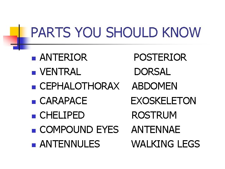 PARTS YOU SHOULD KNOW n n n n ANTERIOR VENTRAL CEPHALOTHORAX CARAPACE CHELIPED COMPOUND
