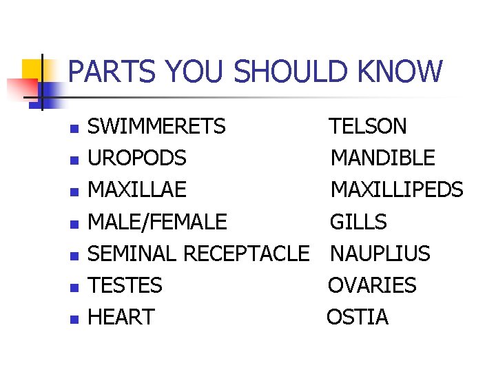 PARTS YOU SHOULD KNOW n n n n SWIMMERETS UROPODS MAXILLAE MALE/FEMALE SEMINAL RECEPTACLE