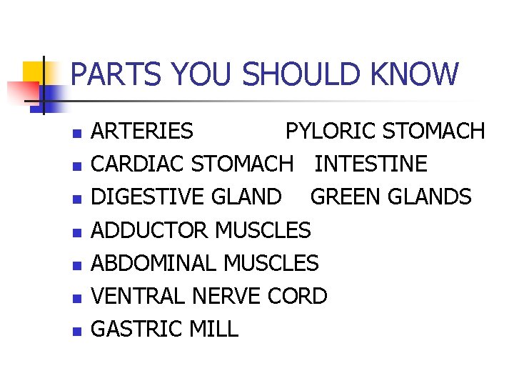 PARTS YOU SHOULD KNOW n n n n ARTERIES PYLORIC STOMACH CARDIAC STOMACH INTESTINE