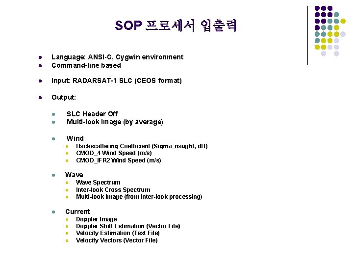 SOP 프로세서 입출력 l Language: ANSI-C, Cygwin environment Command-line based l Input: RADARSAT-1 SLC