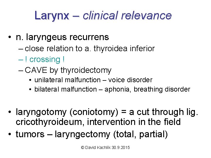 Larynx – clinical relevance • n. laryngeus recurrens – close relation to a. thyroidea