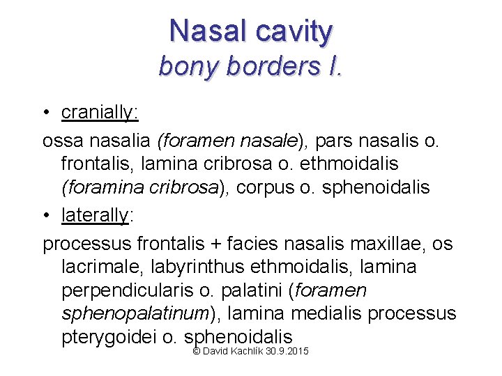Nasal cavity bony borders I. • cranially: ossa nasalia (foramen nasale), pars nasalis o.