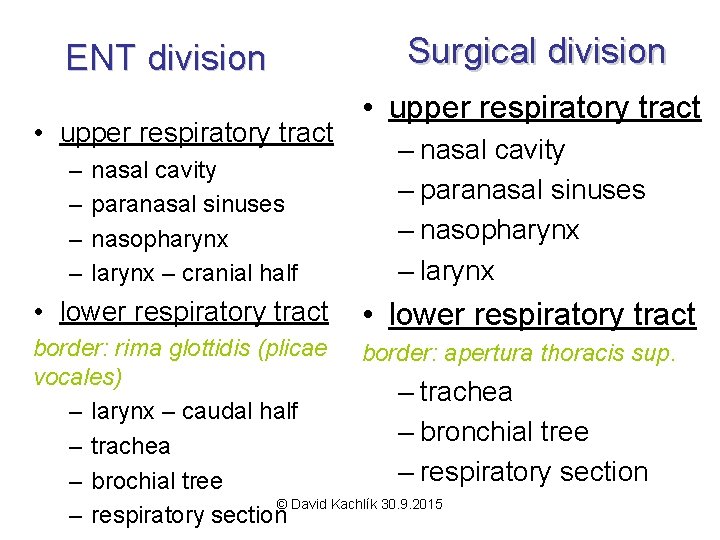 ENT division • upper respiratory tract – – nasal cavity paranasal sinuses nasopharynx larynx