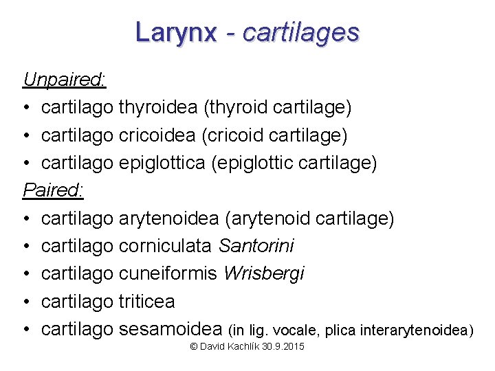 Larynx - cartilages Unpaired: • cartilago thyroidea (thyroid cartilage) • cartilago cricoidea (cricoid cartilage)