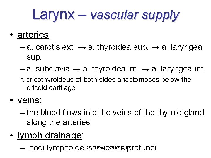 Larynx – vascular supply • arteries: – a. carotis ext. → a. thyroidea sup.