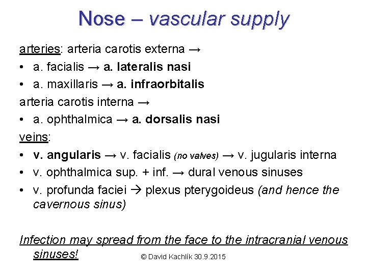 Nose – vascular supply arteries: arteria carotis externa → • a. facialis → a.