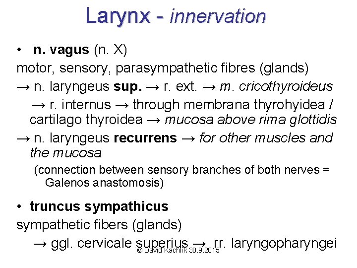 Larynx - innervation • n. vagus (n. X) motor, sensory, parasympathetic fibres (glands) →