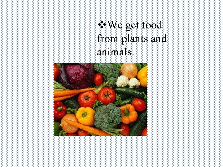 v. We get food from plants and animals. 