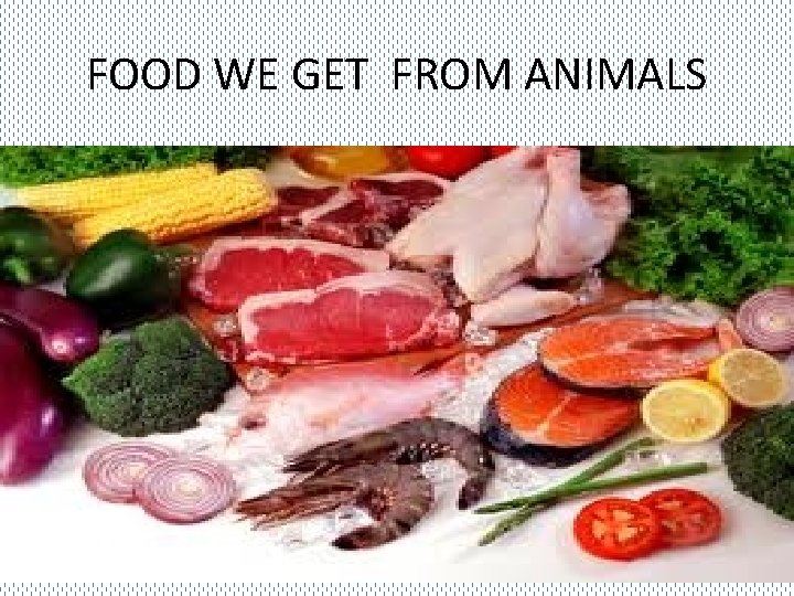 FOOD WE GET FROM ANIMALS 