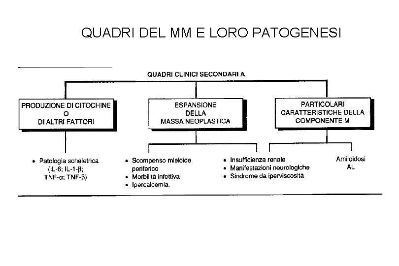 QUADRI DEL MM E LORO PATOGENESI Ematologia - 4 -linfomi e mieloma 36 QUADRI DEL MM E LORO PATOGENESI Ematologia - 4 -linfomi e mieloma 36
