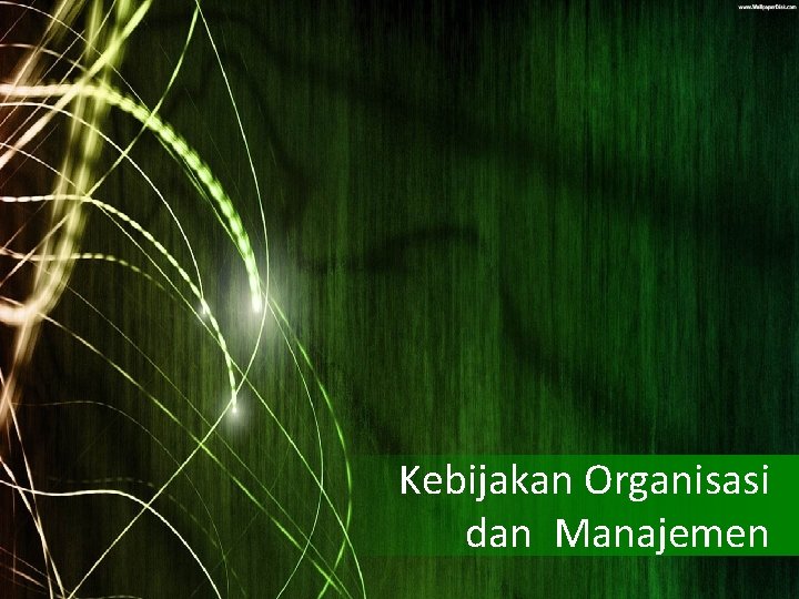 Kebijakan Organisasi dan Manajemen 
