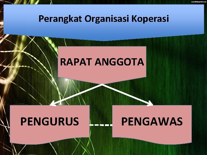 Perangkat Organisasi Koperasi RAPAT ANGGOTA PENGURUS PENGAWAS 