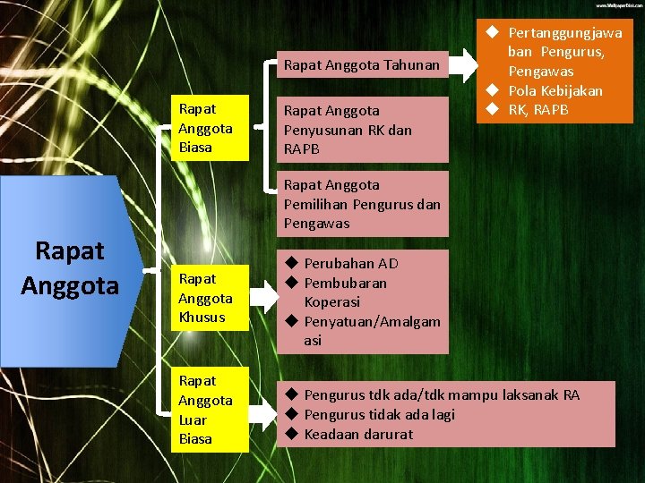 Rapat Anggota Tahunan Rapat Anggota Biasa Rapat Anggota Penyusunan RK dan RAPB u Pertanggungjawa