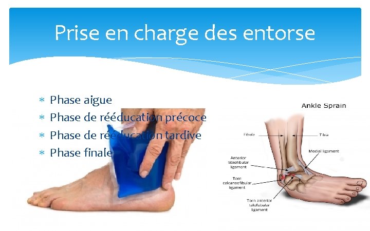 Prise en charge des entorse Phase aigue Phase de rééducation précoce Phase de rééducation