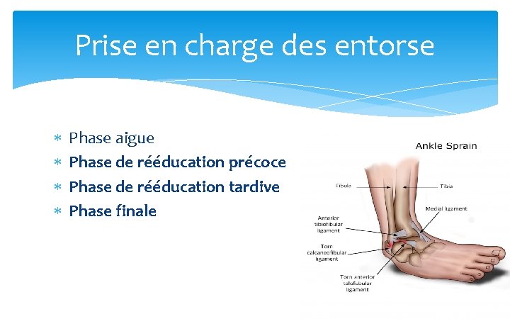 Prise en charge des entorse Phase aigue Phase de rééducation précoce Phase de rééducation