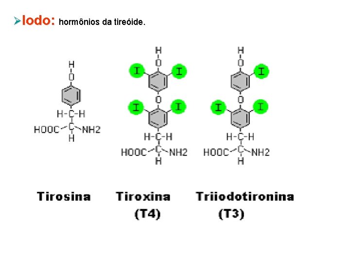 ØIodo: hormônios da tireóide. 