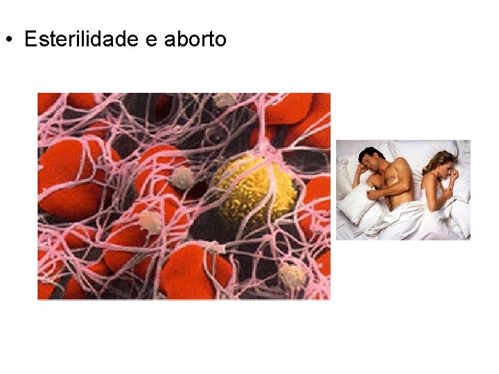  • Esterilidade e aborto 