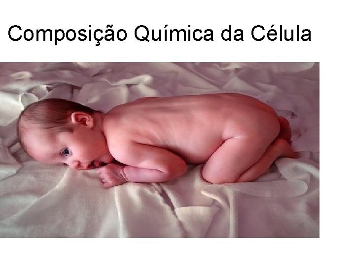 Composição Química da Célula 