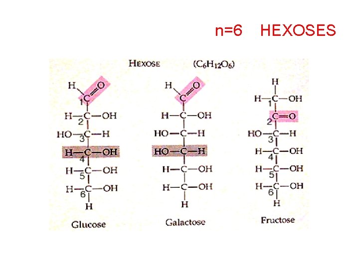 n=6 HEXOSES 