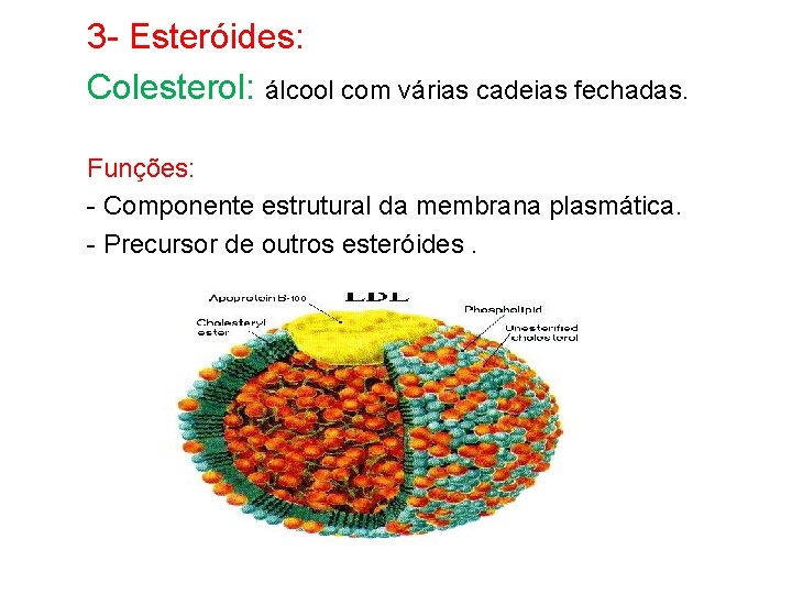 3 - Esteróides: Colesterol: álcool com várias cadeias fechadas. Funções: - Componente estrutural da
