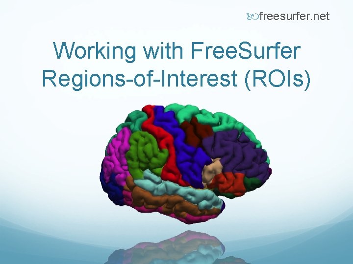  freesurfer. net Working with Free. Surfer Regions-of-Interest (ROIs) 