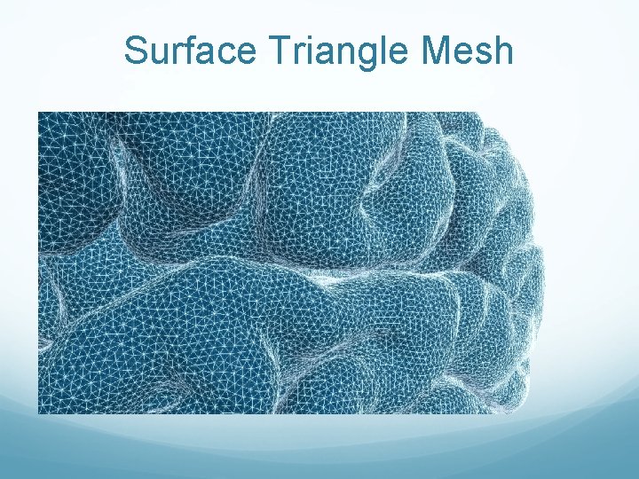 Surface Triangle Mesh 
