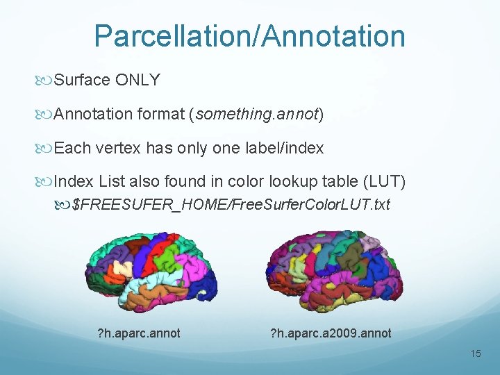 Parcellation/Annotation Surface ONLY Annotation format (something. annot) Each vertex has only one label/index Index