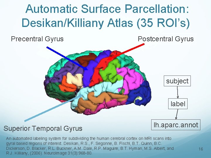 Automatic Surface Parcellation: Desikan/Killiany Atlas (35 ROI’s) Precentral Gyrus Postcentral Gyrus subject label Superior