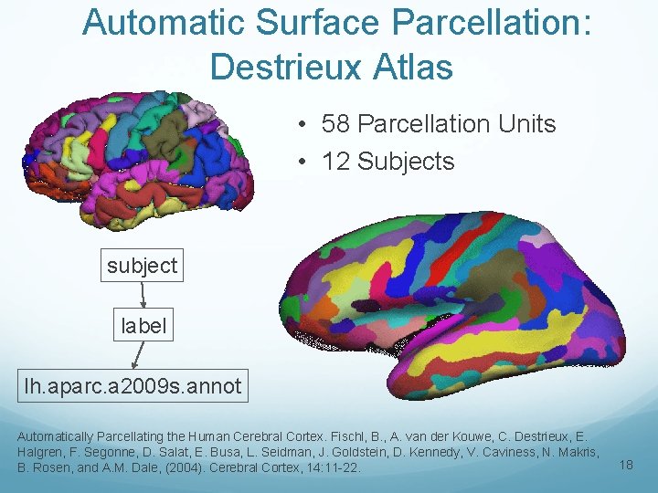 Automatic Surface Parcellation: Destrieux Atlas • 58 Parcellation Units • 12 Subjects subject label