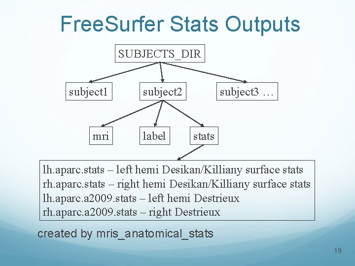 Free. Surfer Stats Outputs SUBJECTS_DIR subject 1 mri subject 2 label subject 3 …