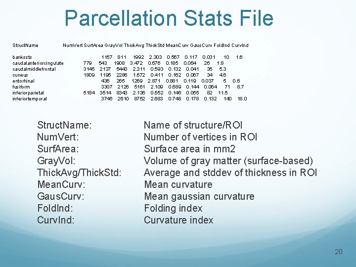 Parcellation Stats File Struct. Name Num. Vert Surf. Area Gray. Vol Thick. Avg Thick.