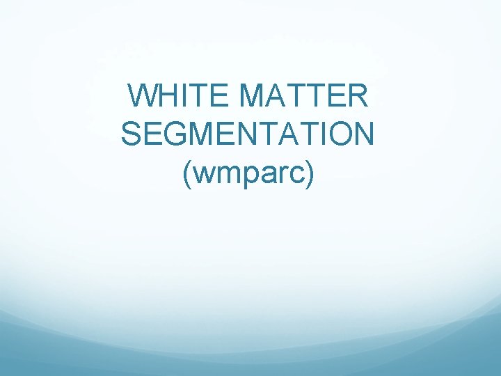 WHITE MATTER SEGMENTATION (wmparc) 