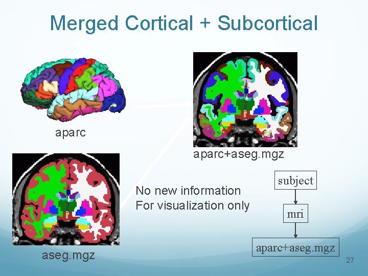 Merged Cortical + Subcortical aparc+aseg. mgz No new information For visualization only aseg. mgz