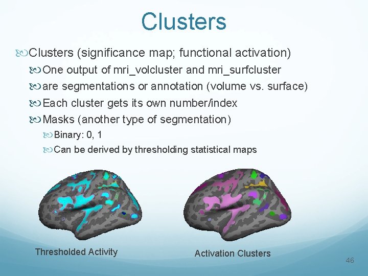 Clusters (significance map; functional activation) One output of mri_volcluster and mri_surfcluster are segmentations or