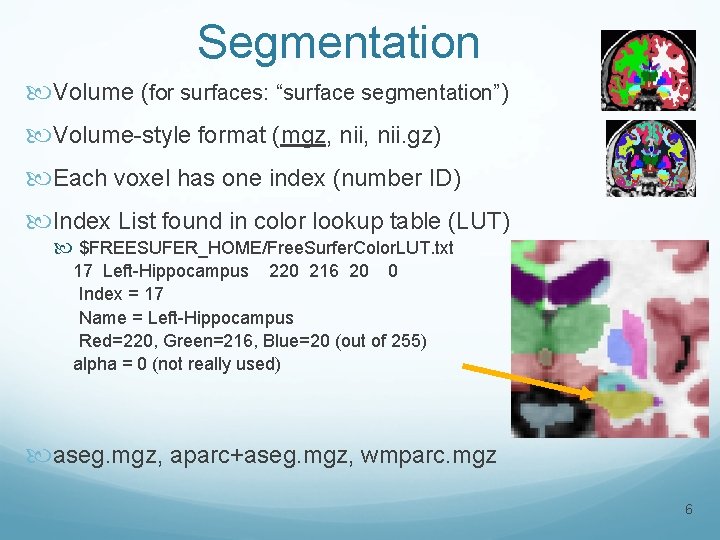 Segmentation Volume (for surfaces: “surface segmentation”) Volume-style format (mgz, nii. gz) Each voxel has