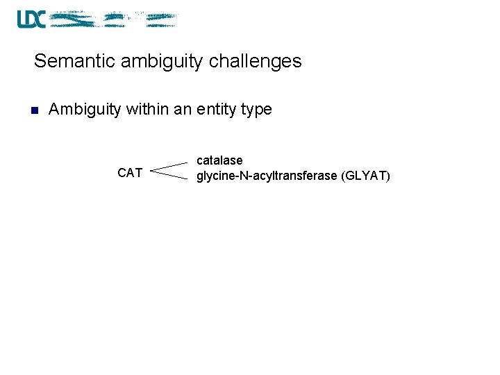 Semantic ambiguity challenges n Ambiguity within an entity type CAT catalase glycine-N-acyltransferase (GLYAT) 