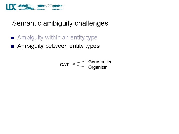 Semantic ambiguity challenges n n Ambiguity within an entity type Ambiguity between entity types